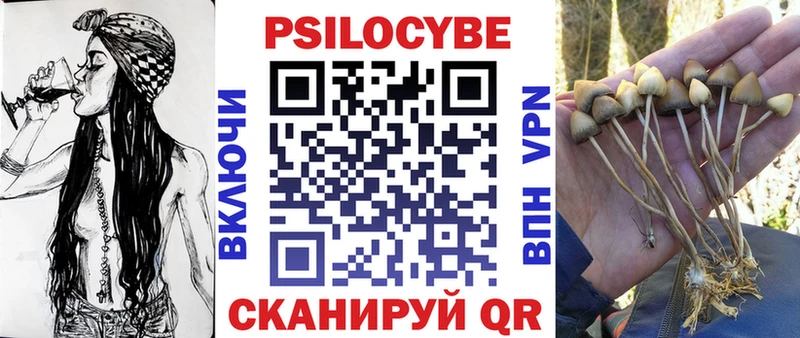 Галлюциногенные грибы Psilocybine cubensis  Купить  Любань 